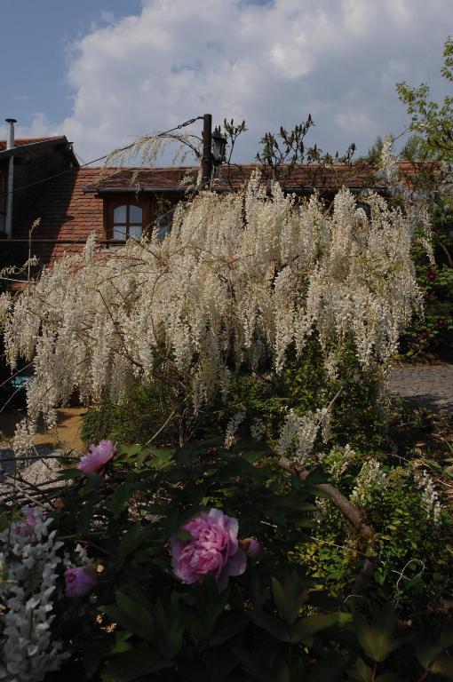Garten Vendégház Eger Extérieur photo