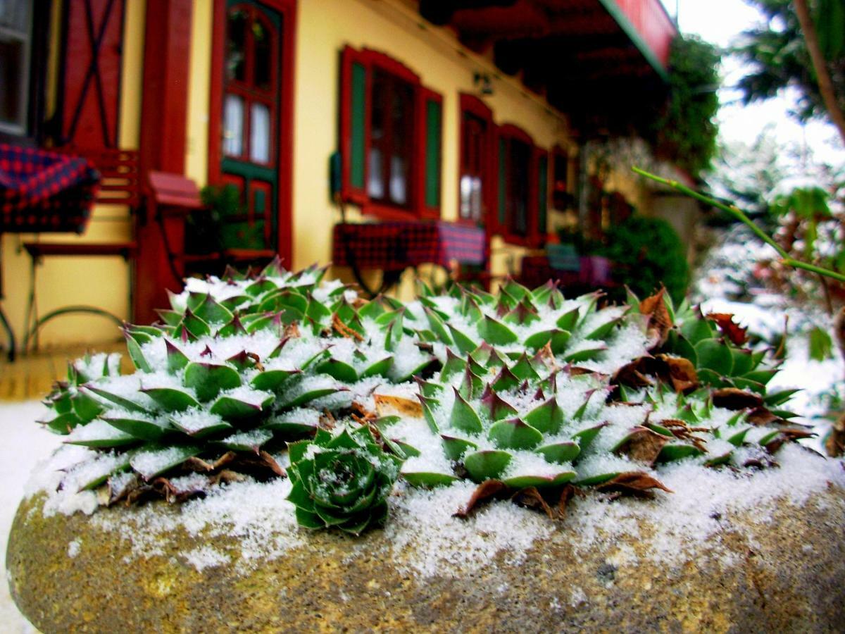 Garten Vendégház Eger Extérieur photo
