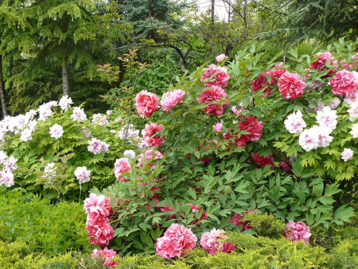 Garten Vendégház Eger Extérieur photo